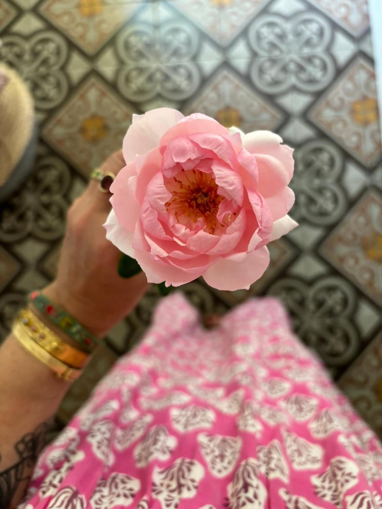 Le Logis Blanc Bed&Breakfast Coursan ภายนอก รูปภาพ