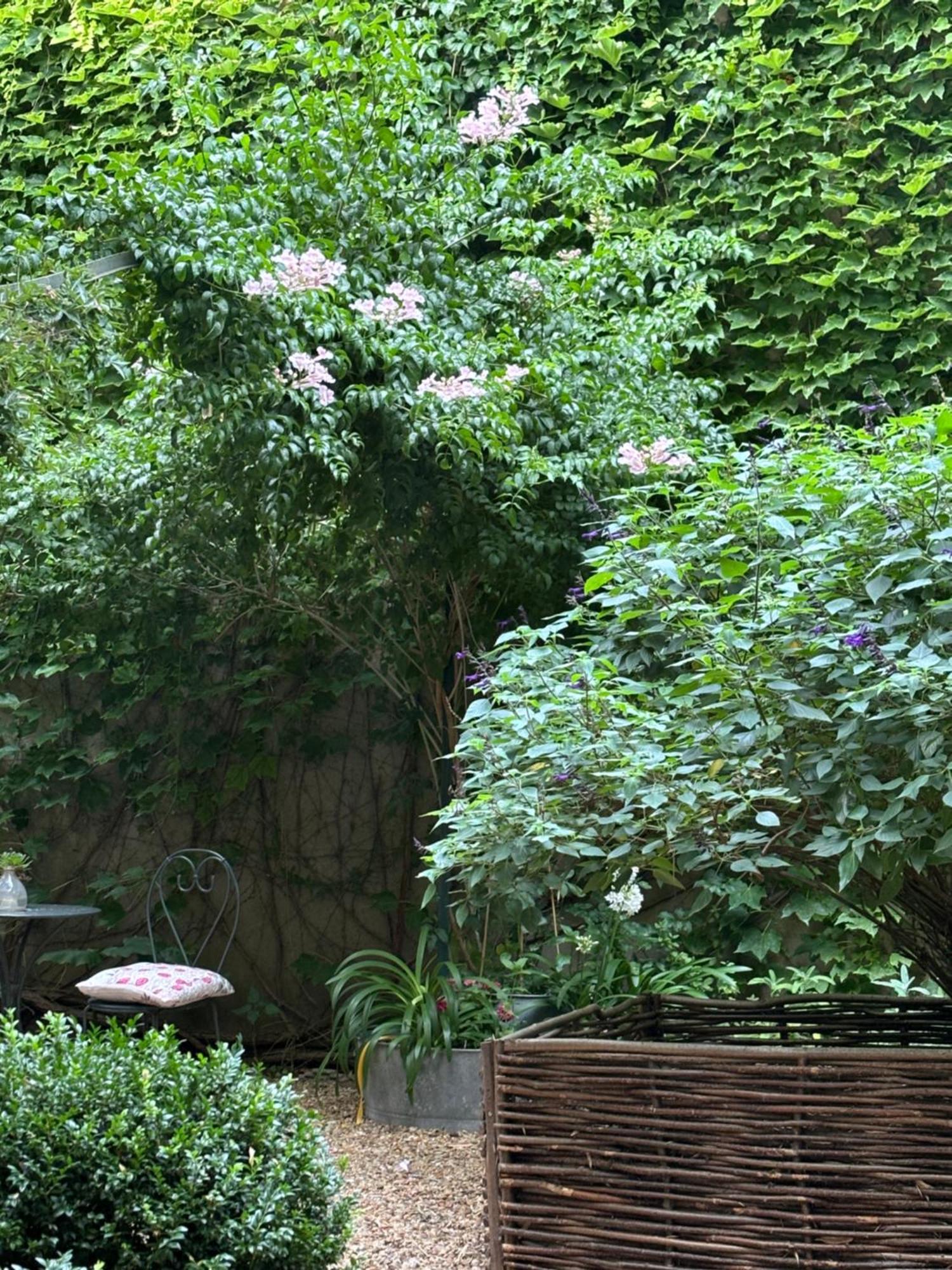 Le Logis Blanc Bed&Breakfast Coursan ภายนอก รูปภาพ