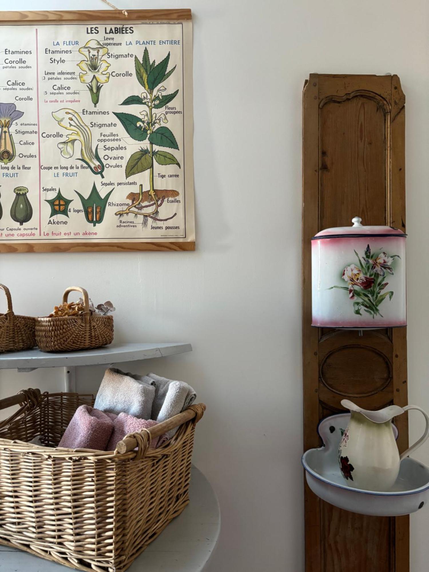 Le Logis Blanc Bed&Breakfast Coursan ภายนอก รูปภาพ