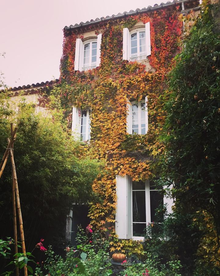 Le Logis Blanc Bed&Breakfast Coursan ภายนอก รูปภาพ