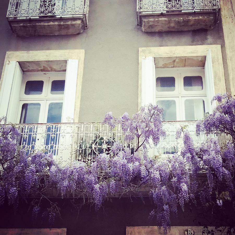 Le Logis Blanc Bed&Breakfast Coursan ภายนอก รูปภาพ