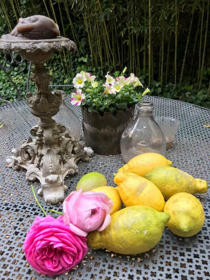 Le Logis Blanc Bed&Breakfast Coursan ภายนอก รูปภาพ